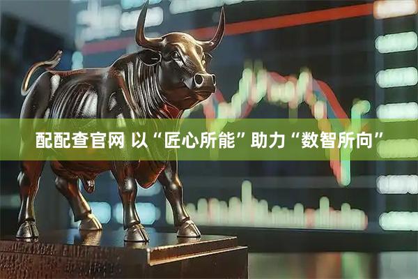 配配查官网 以“匠心所能”助力“数智所向”