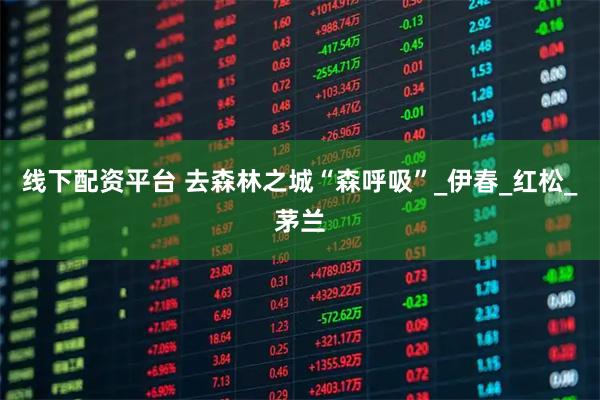 线下配资平台 去森林之城“森呼吸”_伊春_红松_茅兰
